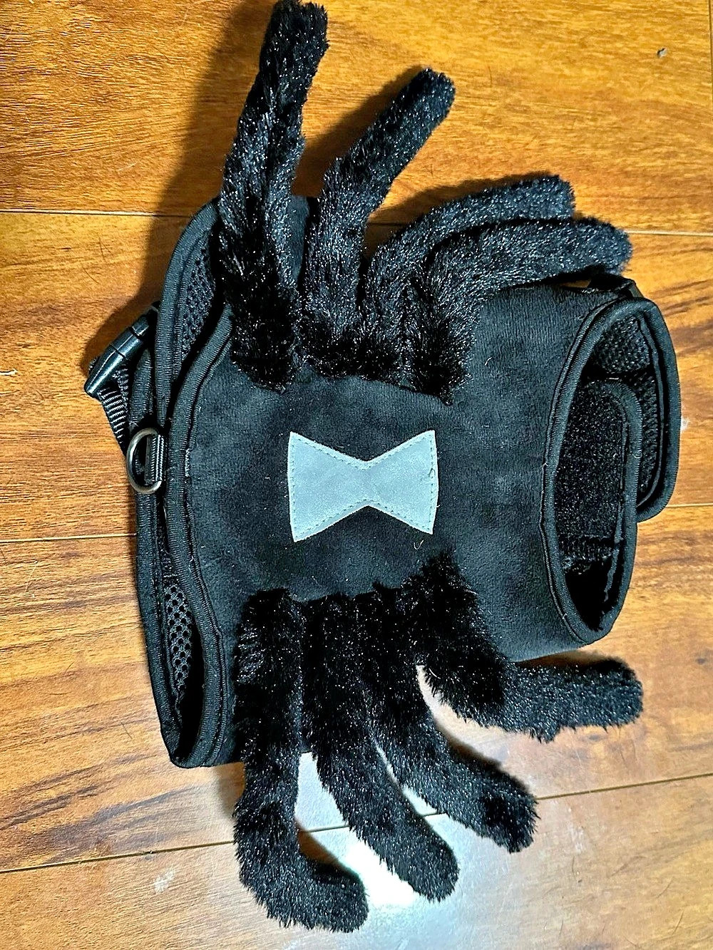 Black Spider Pet Costume - Small